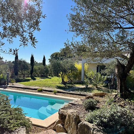 La Villa Aux Oliviers Flayosc Esterno foto