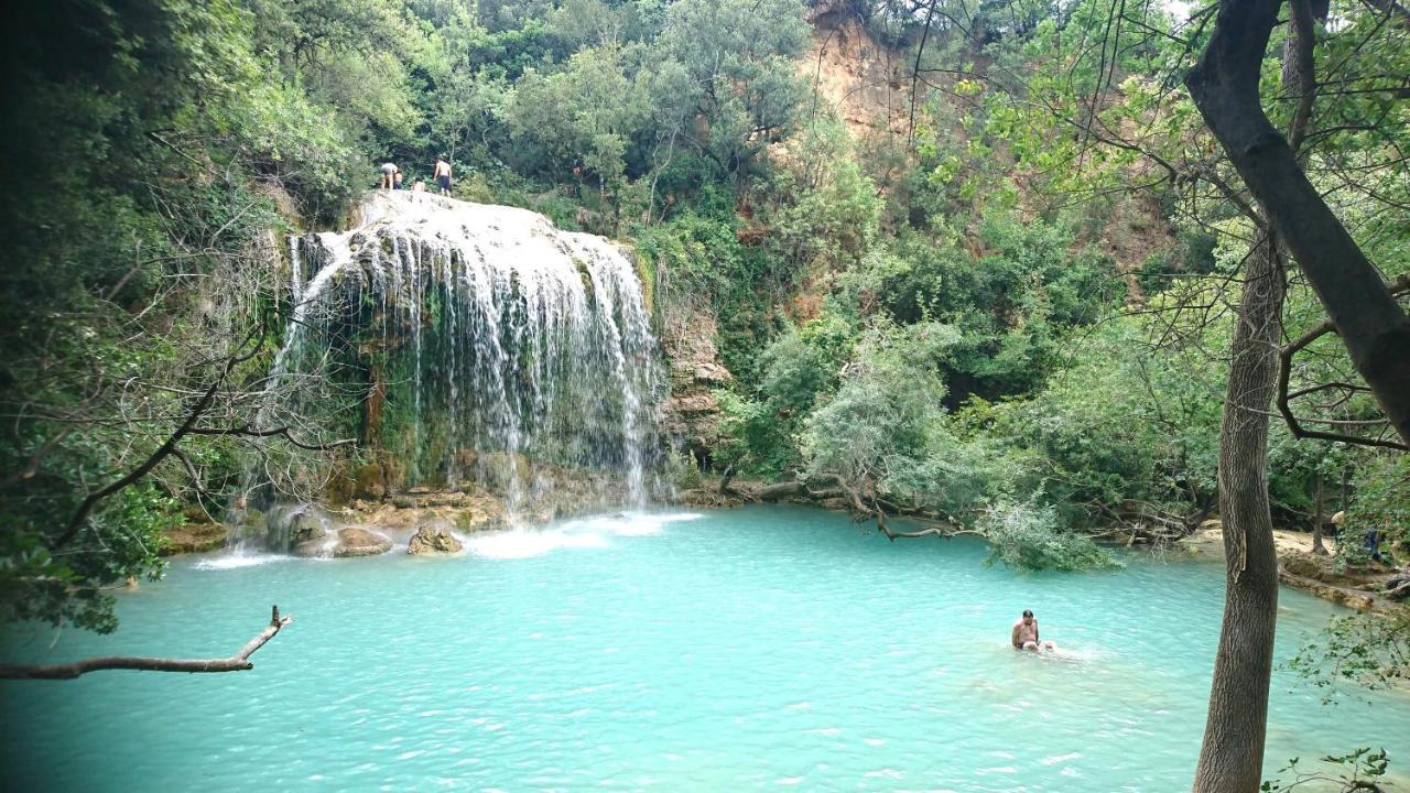 La Villa Aux Oliviers Flayosc Esterno foto