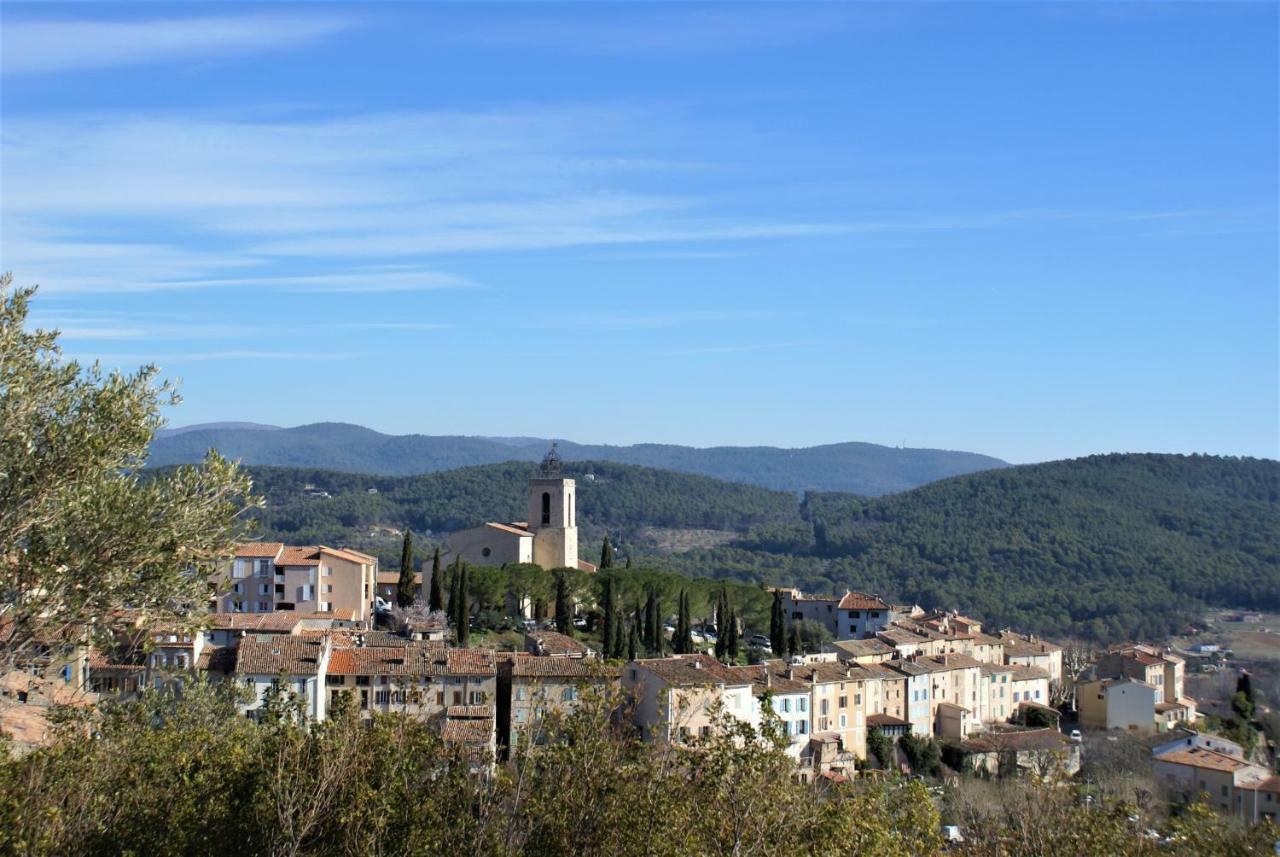 La Villa Aux Oliviers Flayosc Esterno foto